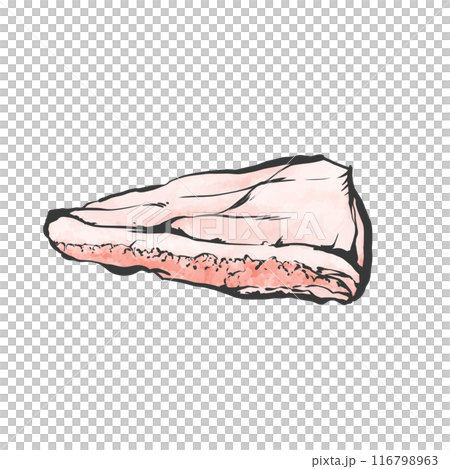 Tontoro 大塊肉手寫畫筆繪畫風格插畫 Tontoro 大塊肉手寫畫筆繪畫風格插畫 116798963