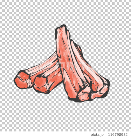 豬肉切排骨手寫畫筆繪畫風格插畫 豬肉切排骨手寫畫筆繪畫風格插畫 116798982