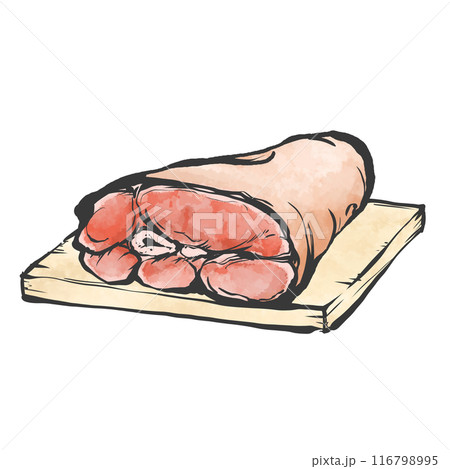 豚前すね肉手書き筆絵風イラスト 116798995