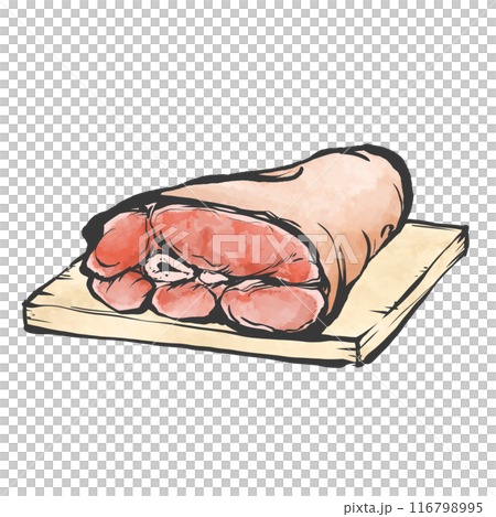豚前すね肉手書き筆絵風イラスト 116798995