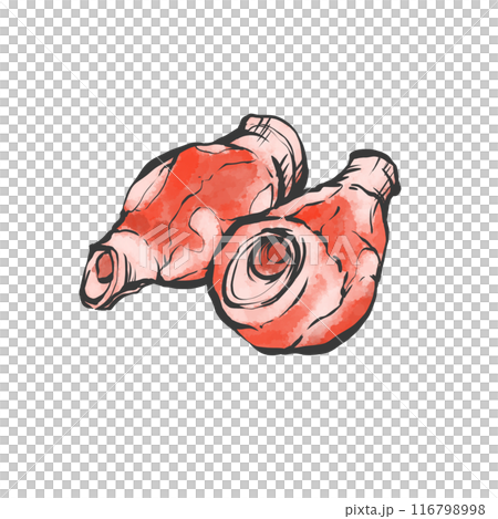 豬甜甜圈手寫畫筆繪畫風格插畫 116798998