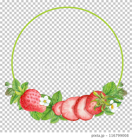 Round frame with garden strawberries. Watercolor flowers and leaves of ripe red berries on a white background. Composition from farm strawberries to decorate an eco-product. rustic clipart. 116799008
