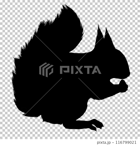 Squirrel silhouette illustration 116799021