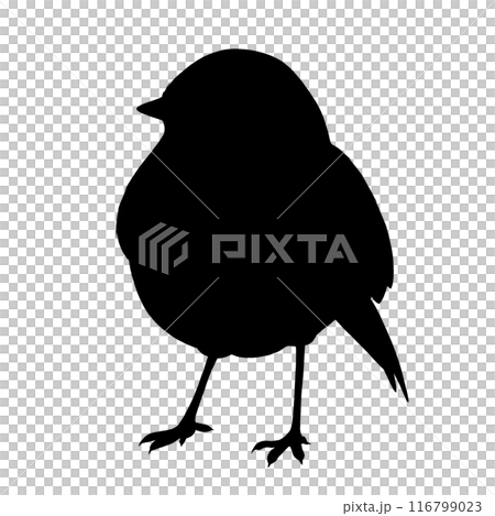 Robin silhouette illustration Robin silhouette illustration 116799023