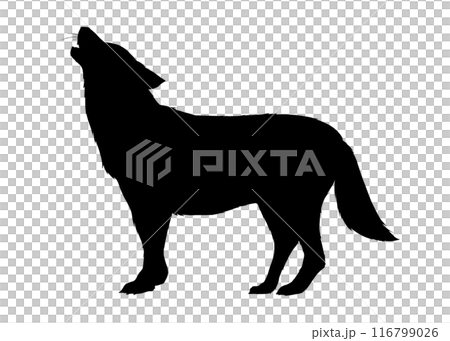 wolf叫的狼剪影 wolf叫的狼剪影 116799026