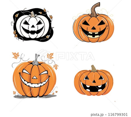 かぼちゃ 116799301
