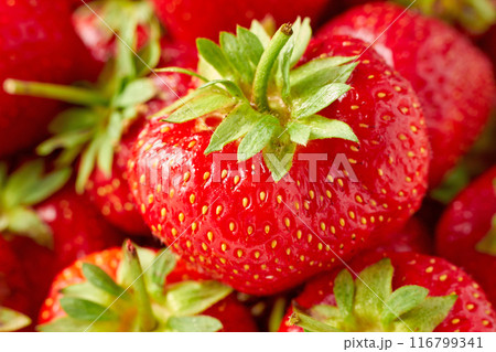 Appetizing ripe strawberries in a pile close-up. Fragrant berry antioxidant 116799341