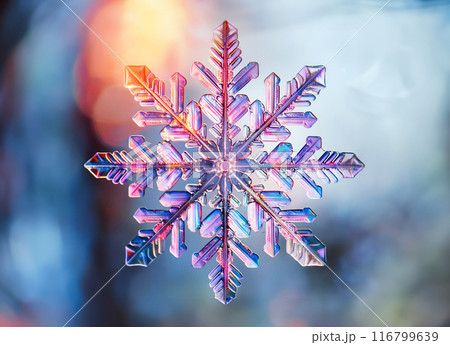 カラフルで美しい雪の結晶 カラフルで美しい雪の結晶 116799639