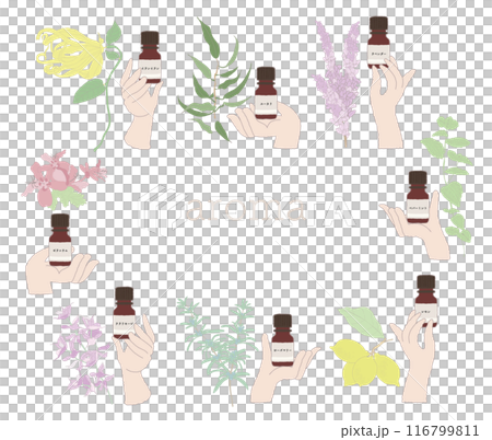 Hands holding essential oils: rosemary, ylang-ylang, lavender, peppermint, eucalyptus, clary sage, lemon. 116799811