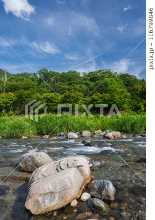 夏の道志川 道の駅どうし 川あそび場 夏の道志川 道の駅どうし 川あそび場 116799846
