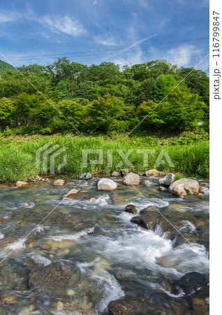 夏の道志川　道の駅どうし　川あそび場 116799847