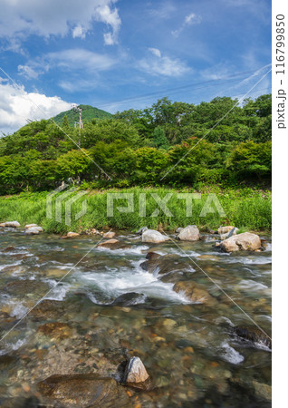 夏の道志川 道の駅どうし 川あそび場 夏の道志川 道の駅どうし 川あそび場 116799850