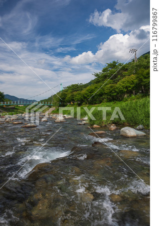 夏の道志川　道の駅どうし　川あそび場 116799867