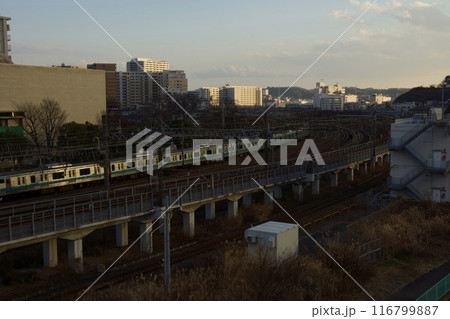横浜市笠間　笠間大橋からの眺め　夕景 116799887