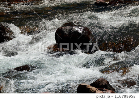川の流れ 渓流 川の流れ 渓流 116799958