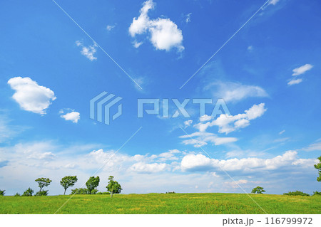 夏の青空と草原 116799972