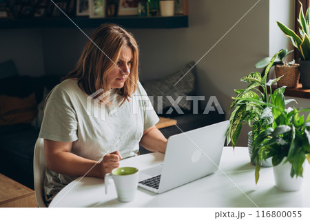 Frustrated young adult woman looking in laptop computer in home. Negative people emotion, Female freelancer works in home office workplace. 116800055