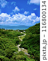 美しい森と遠くから見える青い海① 116800134