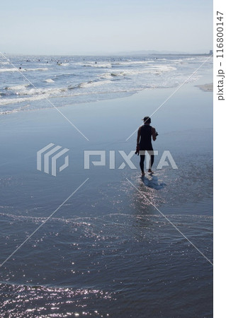 鵠沼海岸 湘南海浜公園の眺め 鵠沼海岸 湘南海浜公園の眺め 116800147
