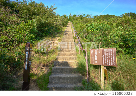 六甲全山縦走路にある長い階段 六甲全山縦走路にある長い階段 116800328