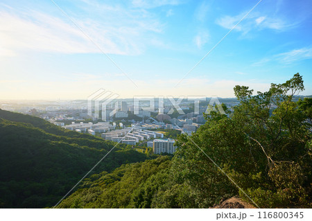 東山の山頂から見える景色 116800345