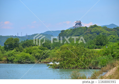 《愛知県》新緑の犬山城と木曽川 《愛知県》新緑の犬山城と木曽川 116800391