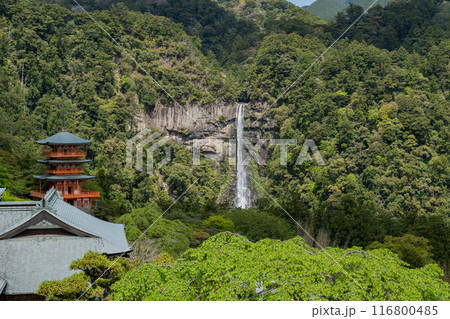 那智山青岸渡寺 - 三重塔 - 那智の滝 116800485
