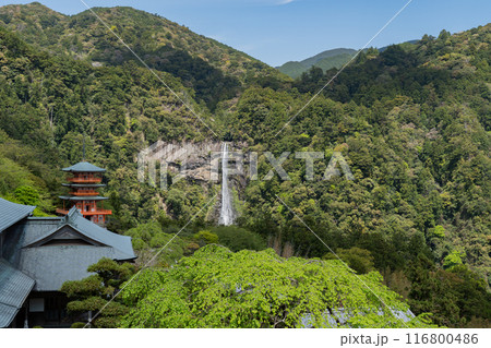那智山青岸渡寺 - 三重塔 - 那智の滝 那智山青岸渡寺 - 三重塔 - 那智の滝 116800486