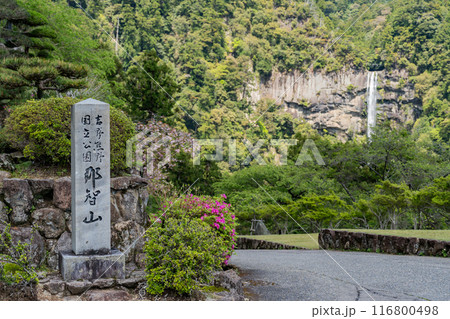 那智山青岸渡寺 - 三重塔 - 那智の滝 116800498