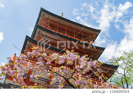 那智山青岸渡寺 - 三重塔 - 那智の滝 116800501