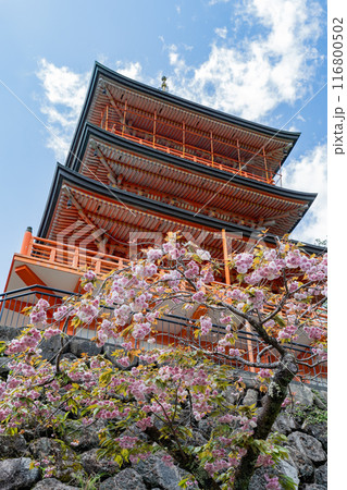 那智山青岸渡寺 - 三重塔 - 那智の滝 116800502