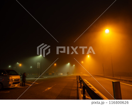 車中泊霧の夜 116800626