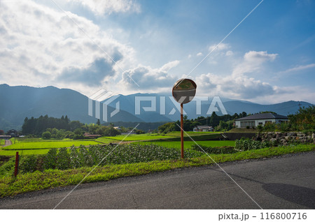 ノスタルジックな農村風景 静岡の田舎風景 ノスタルジックな農村風景 静岡の田舎風景 116800716