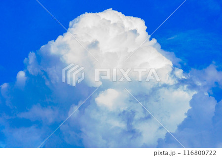 夏雲 イメージ 夏雲 イメージ 116800722