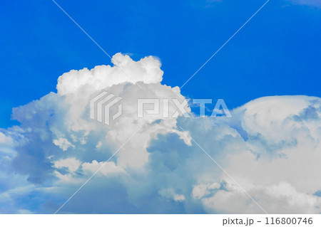 夏雲　イメージ　　 116800746