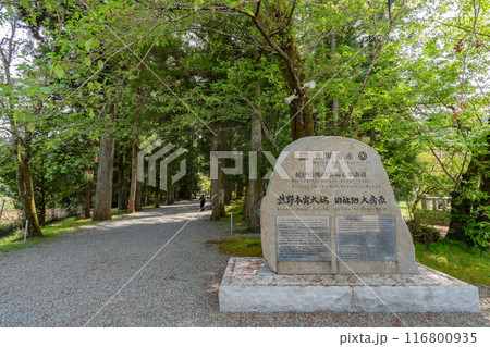 熊野本宮大社旧社地 - 大斎原 熊野本宮大社旧社地 - 大斎原 116800935
