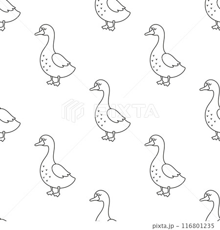 outline goose seamless pattern 116801235