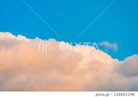 夏雲 イメージ  夏雲 イメージ  116801246