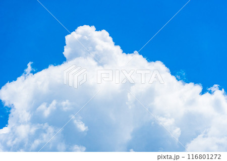 夏雲 イメージ 夏雲 イメージ 116801272