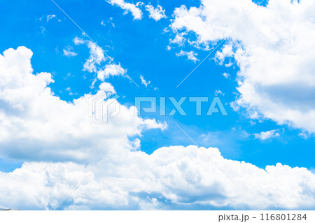 夏雲　イメージ　 116801284