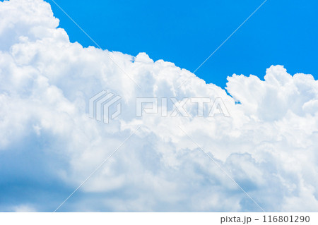夏雲　イメージ　 116801290