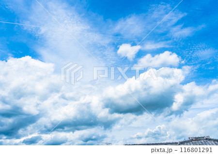 夏雲　イメージ　 116801291