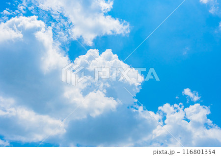夏雲 イメージ 夏雲 イメージ 116801354