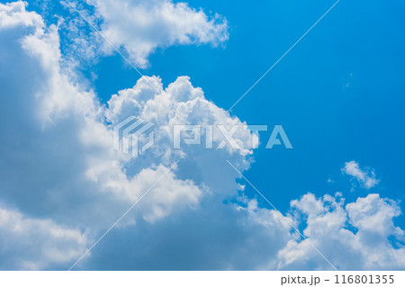 夏雲 イメージ 夏雲 イメージ 116801355