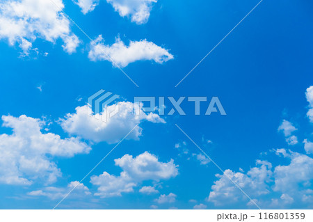 夏雲　イメージ　 116801359