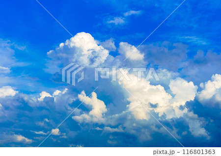 夏雲　イメージ　 116801363