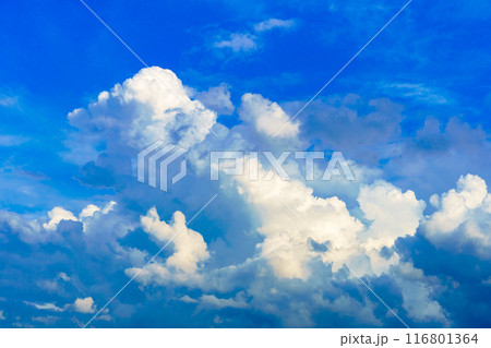 夏雲 イメージ 夏雲 イメージ 116801364