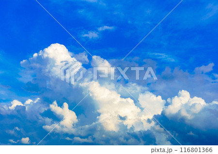 夏雲 イメージ 夏雲 イメージ 116801366