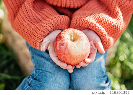 close-up image of a child wearing a cozy orange sweater and jeans, holding fresh red apple in hands. The scene captures the essence of autumn and the simplicity of enjoying a fresh fruit. close-up image of a child wearing a cozy orange sweater and jeans, holding fresh red apple in hands. The scene captures the essence of autumn and the simplicity of enjoying a fresh fruit. 116801392