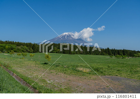 道の駅 - 朝霧高原 - 富士山展望台 116801411